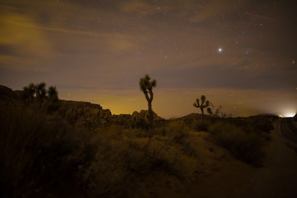 Parque Nacional Joshua Tree,paisaje,noche,puesta de sol