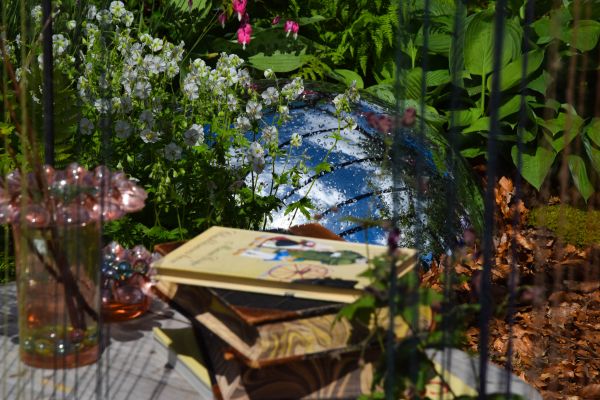 jardin, ciel, les plantes, des nuages, vert, étang