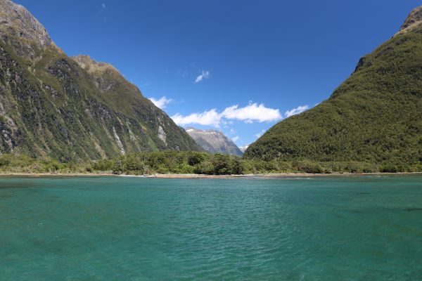 新西兰,Fiordland National Park,景观