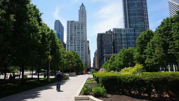 Stadt,Stadtbild,Park,Tourismus,Skyline,Wolkenkratzer