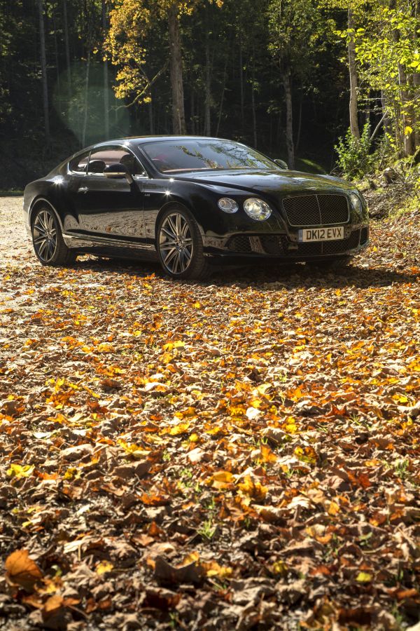 coche,vehículo,2015,Bentley,Coche de rendimiento,Show de net