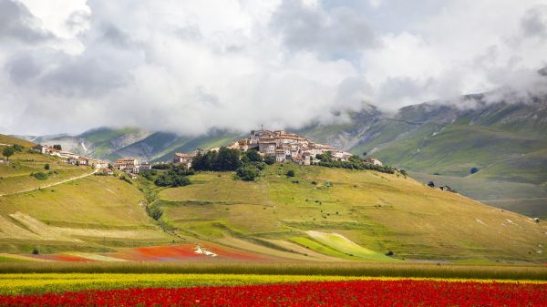 trees, landscape, mountains, villages, Italy, architecture