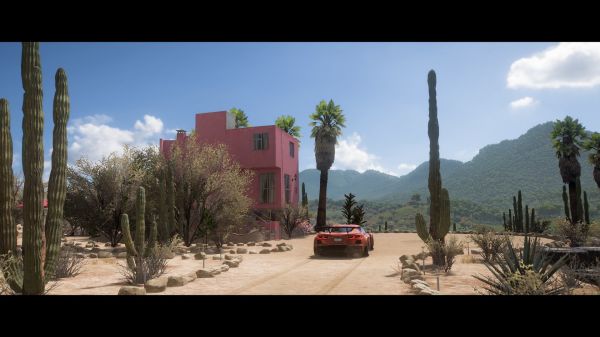 Forza Horizon 5,öken-,kaktus,bil,wide screen