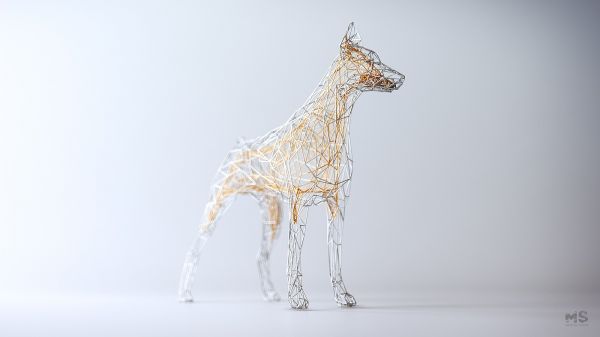 arte digital,Animais,Fundo simples,obra de arte,fundo branco,CGI