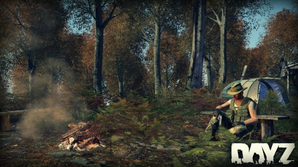 screenshot,forest,jungle,DayZ,autumn,season