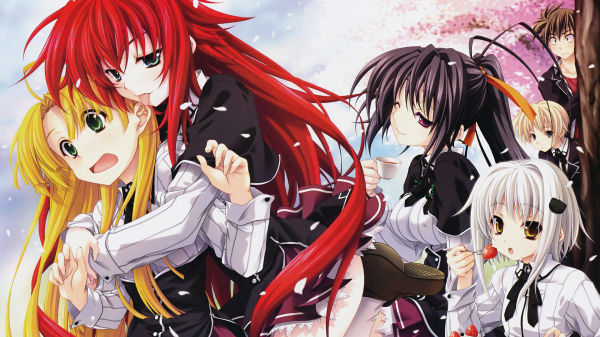 ilustrace,anime,anime dívky,umělecká díla,Highschool dXD,Gremory Rias