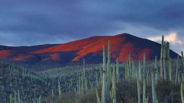 paysage,forêt,Montagnes,colline,la nature,réflexion