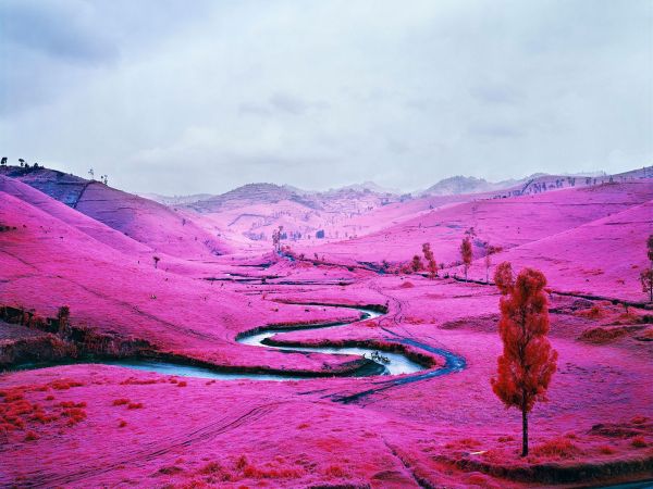 la nature,paysage,des arbres,eau,Infrarouge,rivière