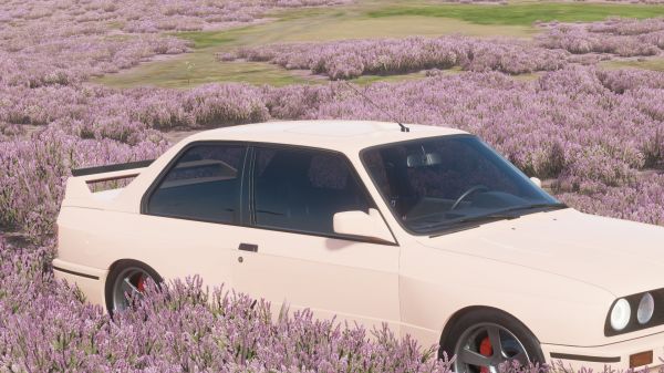 BMW,Forza,bunga-bunga,mobil merah muda,tylerthecreator,Forza Horizon 4