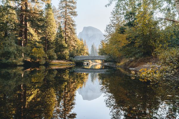 вода,небе,водни ресурси,растение,Natural landscape,клон