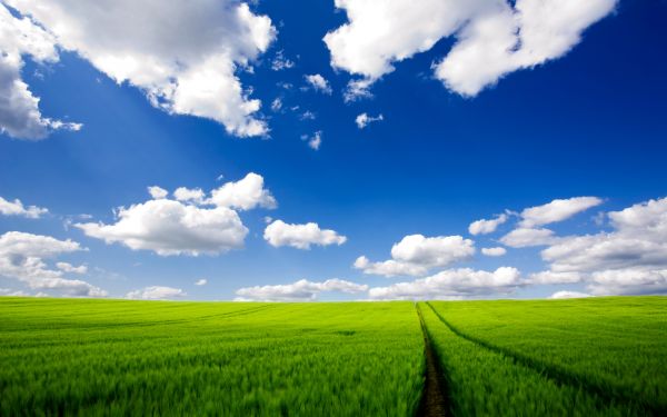 sunlight,landscape,grass,sky,field,road