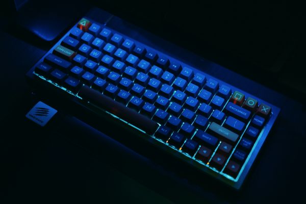 computadora,teclado,periférico,dispositivo de entrada,teclado,space bar