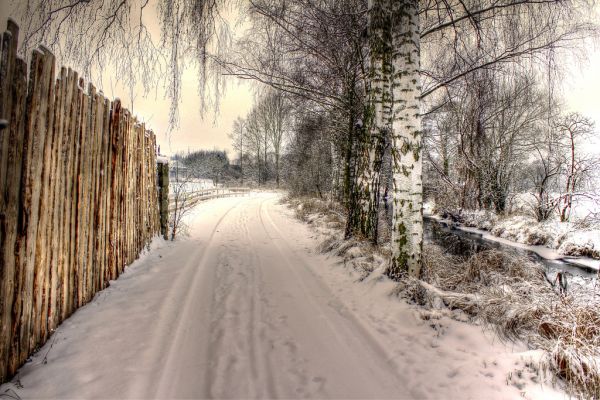 Photoshop, Himmel, Sonnenlicht, Landschaft, Wald, Wasser