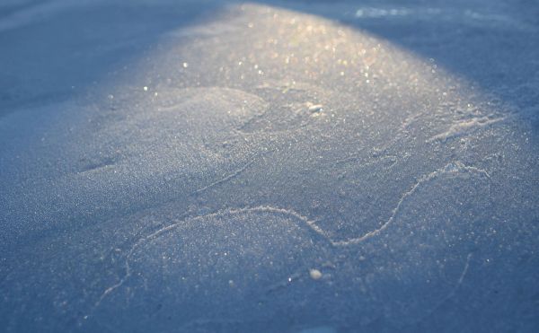 阳光,蓝色,海,水,雪,冰