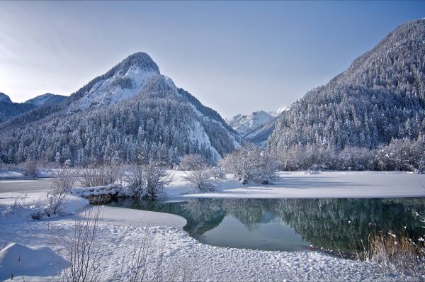 stromy,krajina,hory,jezero,Příroda,odraz