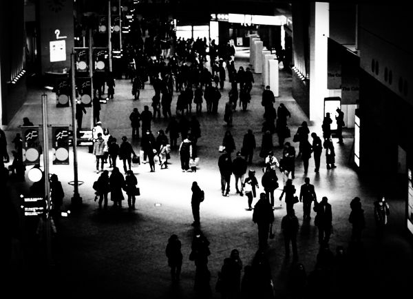 cidade,sombra,Preto,monocromático,rua,noite