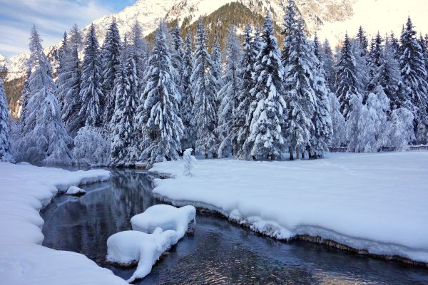 paisaje,naturaleza,nieve,invierno,hielo,escarcha