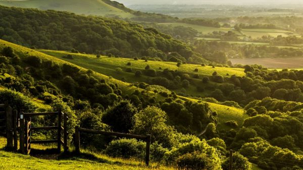 Natur, Landschaft, Hügel, Feld, Grün, Tal