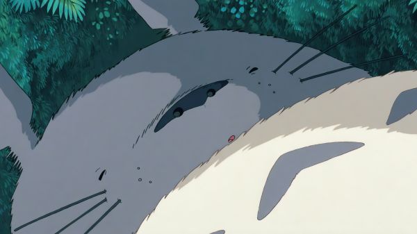 filmy animowane,Folie filmowe,Anime,animacja,Studio Ghibli,Mój sąsiad totoro