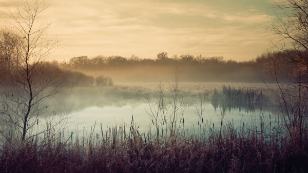 slunečnímu záření,stromy,krajina,les,západ slunce,jezero