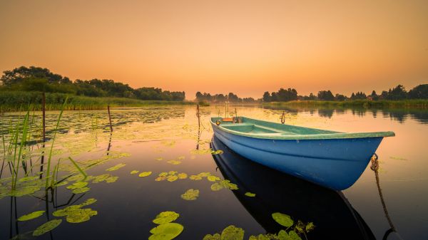 water,boat,sky,water resources,plant,vehicle