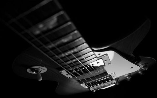 black, monochrome, guitar, musical instrument, guitarist, electric guitar