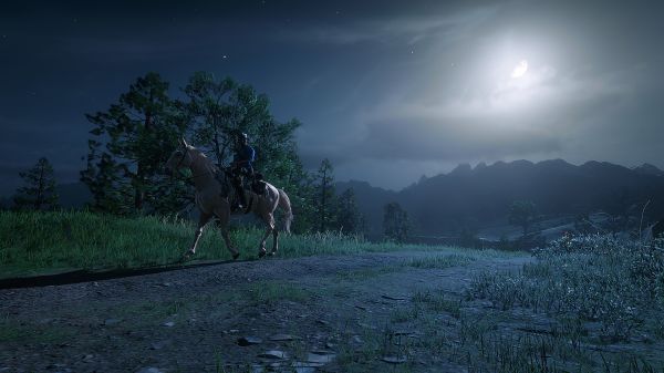 caballo,planta,nube,cielo,Ecorregión,Natural landscape