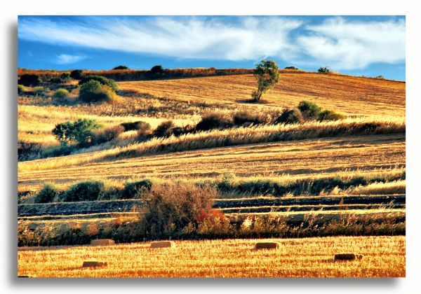 paysage, la nature, ciel, colline, herbe, champ