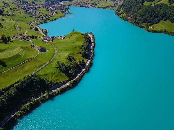 vand,vej,træer,sø,Schweiz,blå