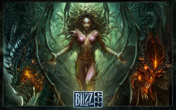 Warcraft,World of Warcraft,video oyunları,Kerrigan,Ölüm dövüşü,Diablo