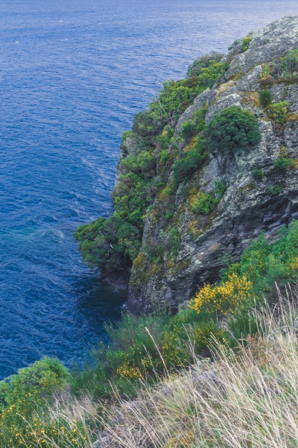 New Zealand,Queenstown,fjellene,natur