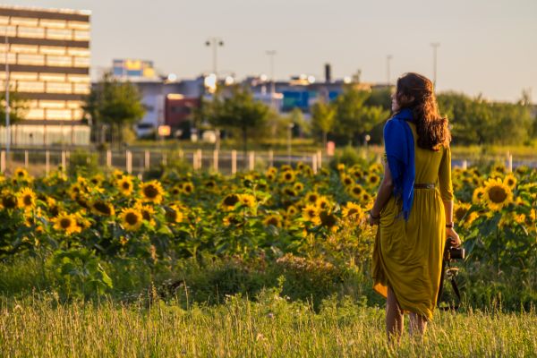 field,yellow,sunlight,people,building,morning