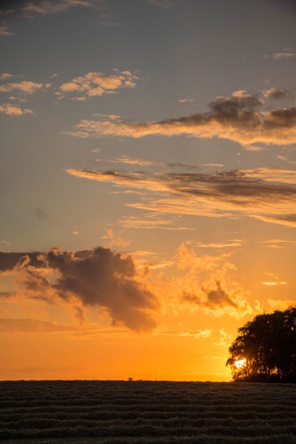 sollys,landskap,solnedgang,hav,himmel,Strand