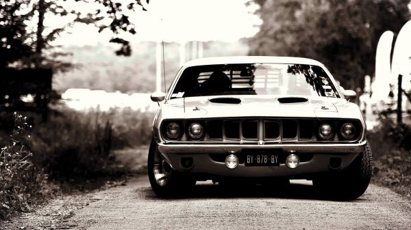 Araba,Araç,Spor araba,Plymouth Hemi Cuda,Tek renkli,Ford