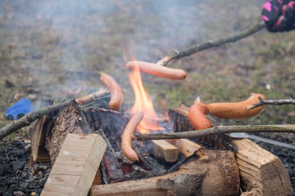 lemn, grătar, natură, animale sălbatice, Dalby, knivs sen