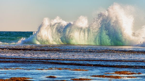 spiaggia,oceano,acqua,onda,onde,spruzzo