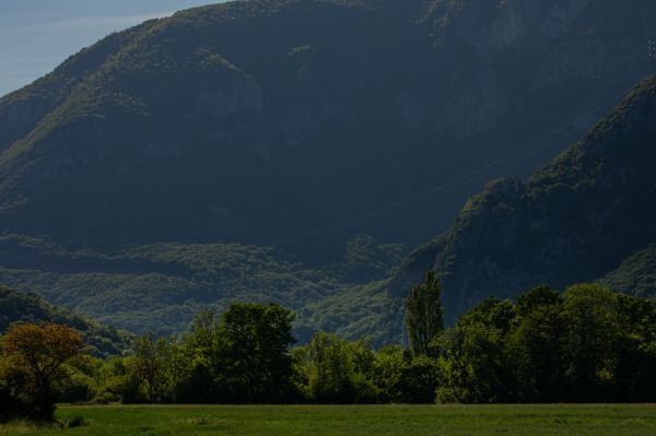 写真,木,風景,山々,森林,フィールド