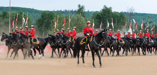 red, horses, horse, Canada, black, yellow