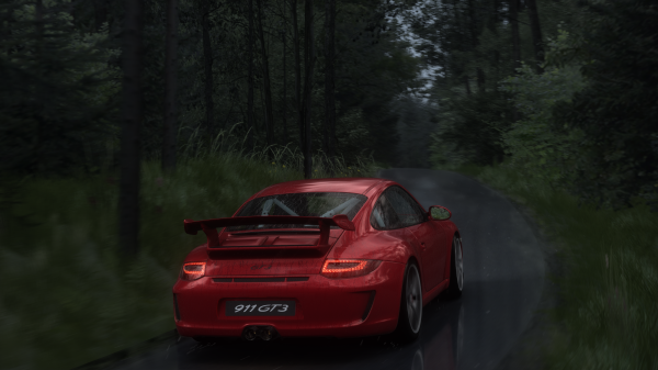 Assetto Corsa,mendung,4K gaming,Porsche GT3 997 2,pohon,hujan