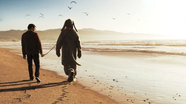 people,sand,sunlight,sea,shore,beach