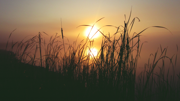 naturaleza,Sol,luz de sol,lago,río,agua