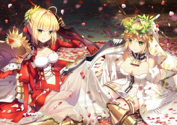 аниме,Аниме девушки,Серия Fate,Fate Extra,Fate Extra CCC,Судебная практика