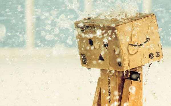 1920x1200 px,Amazon,Danbo,หยด,กล่อง,ฝน