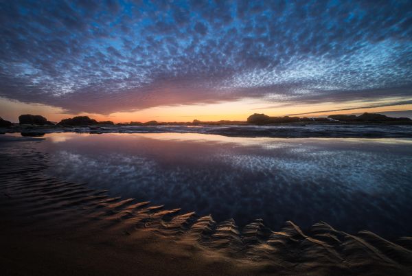 paesaggio,natura,mare,costa,Stati Uniti d'America,Oregon