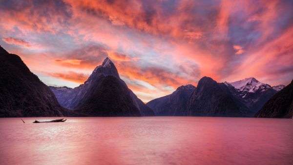 nature,New Zealand,Milford Sound,mountains,sunset