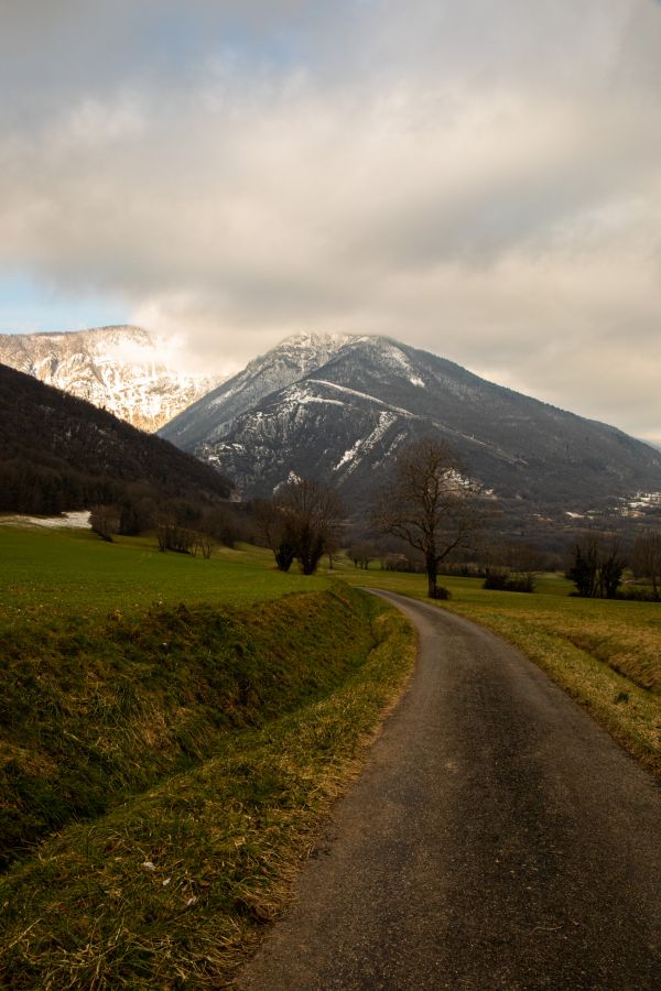 fotografovanie,vonku,krajina,príroda,hory,stromy