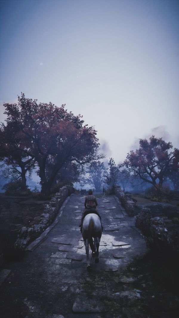 Credo, um Assassino,Assassin's Creed Valhalla,videogames,CGI,cavalo,vertical