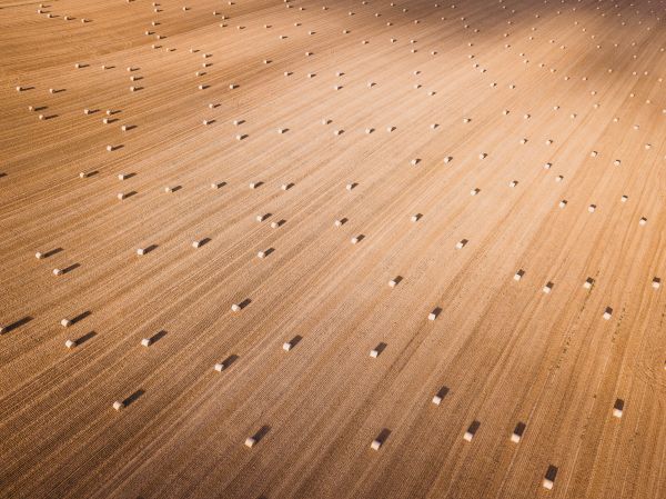 landscape,aerial view,wheat,straw,hay bales,rural