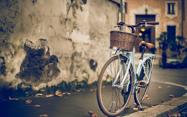 vehicle,baskets,house,bicycle,winter,photography