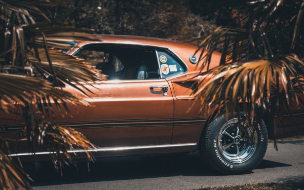 auto, veicolo, Ford Mustang, auto sportiva, vista laterale, 1969